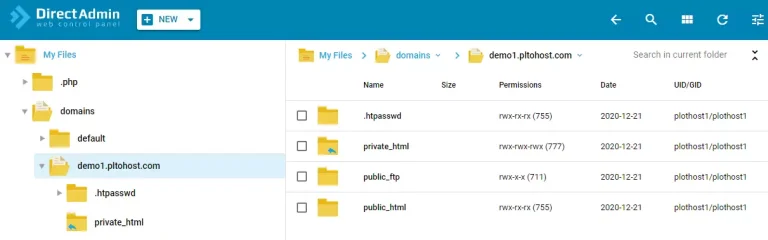 مدیریت و ویرایش فایل‌ها در دایرکت ادمین
