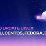 دستور آپدیت سرور لینوکس و تشخیص نوع سیستم عامل سرور
