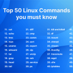 دستورات پرکاربرد لینوکس؛ راهنمای گام به گام