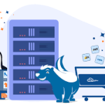 هاست لینوکس چیست و چه کاربردهایی دارد؟