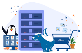 هاست لینوکس چیست و چه کاربردهایی دارد؟