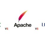 وب سرور چیست و چگونه کار می‌کند؟ انواع وب سرور