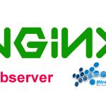 آموزش نصب و پیکربندی nginx در دایرکت ادمین با جزئیات